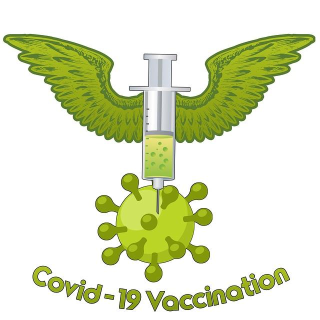 Overview of Vaccination Strategy and Target Populations