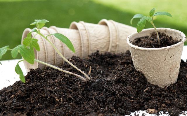 Policy Recommendations for Sustainable Growth
