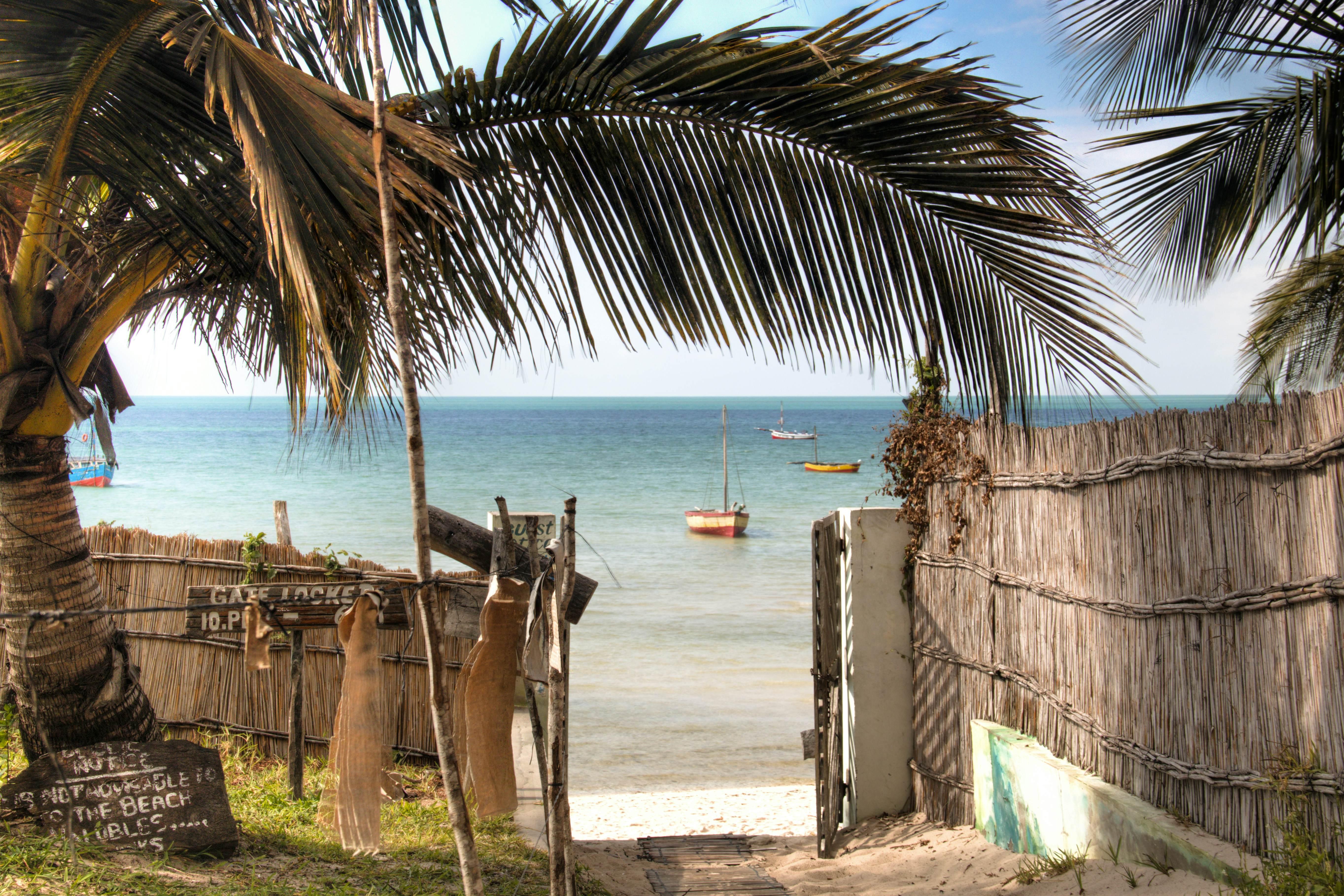 Strategies for Rebuilding Trust Between Political Factions in Post-Election Mozambique