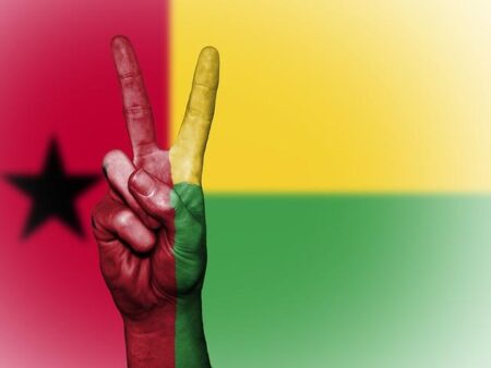 Guinea Bissau: Journalist union President denied the right to cover government activities – International Federation of Journalists