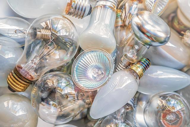 Best Practices from Successful Global Waste to Energy Initiatives