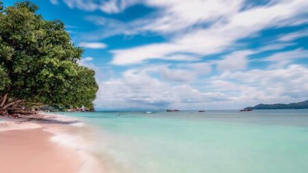 The Best Ways To Fly to the Seychelles With Points & Miles – Upgraded Points