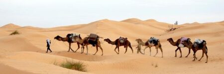 Tunisia country profile – BBC
