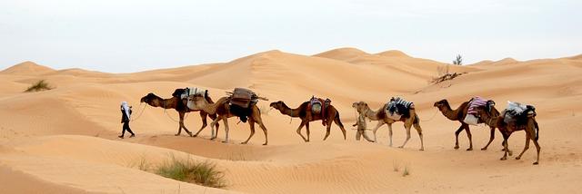 Tunisia country profile – BBC