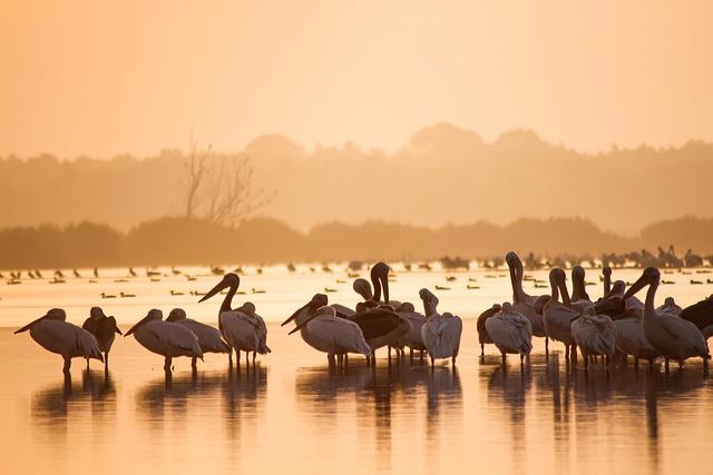 Travel Tips for Booking Delta’s New Services to Africa and Mexico