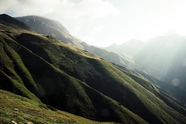 Early Humans Thrived in Rainforests – The New York Times Early Humans Thrived in Rainforests – The New York Times