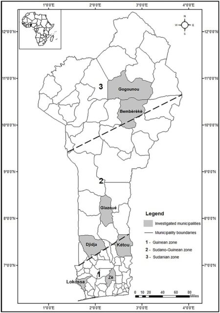 Enabling effective maize seed system in low-income countries of West Africa: Insights from Benin – Frontiers