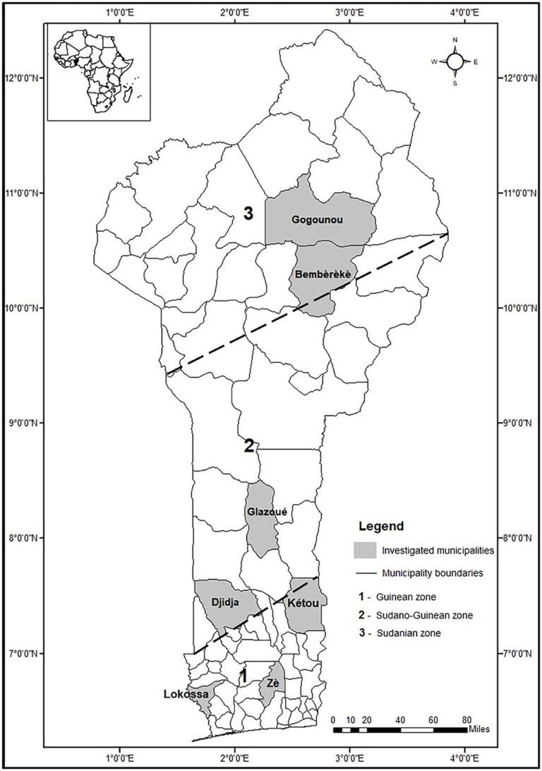 Enabling effective maize seed system in low-income countries of West Africa: Insights from Benin – Frontiers