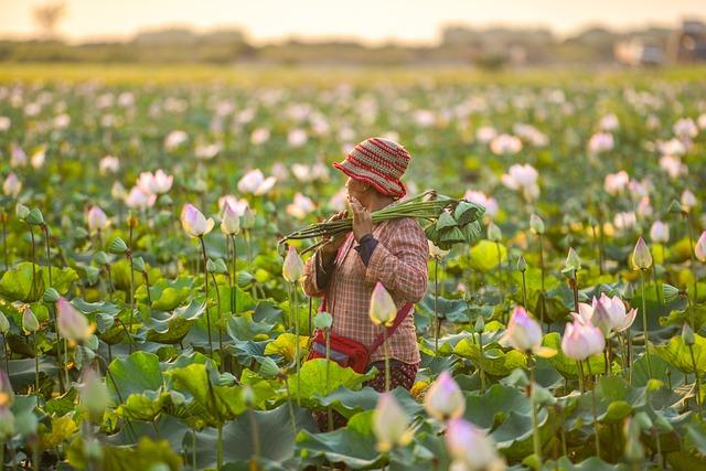 Adaptation Strategies: how young Farmers are Coping with Climate Challenges