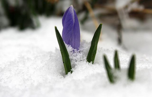 Travel Tips for a Perfect March Getaway