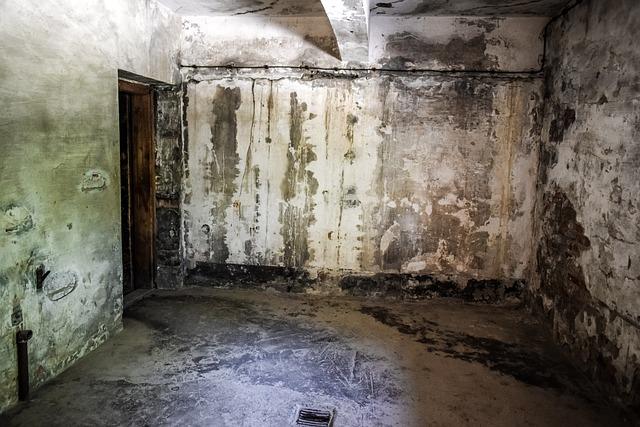 Key Evidence and Testimonies supporting ​War⁣ Crimes Accusations Against Officials