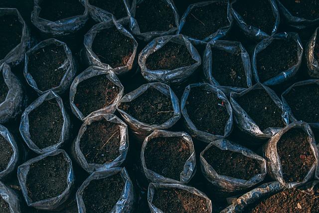 Strategies for Restoring Soil Health and Enhancing Productivity