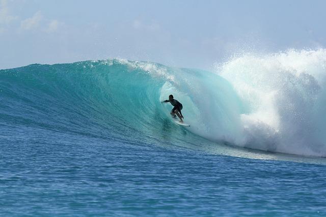 Essential Gear for Embracing the Surf Lifestyle