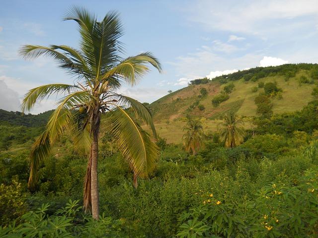 Strategies for Improvement: Recommendations to Strengthen Security⁤ in Haiti