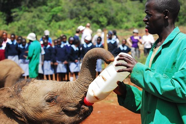 Exploring the Role of NGOs in Addressing the Fallout from funding Reductions