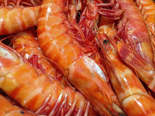 Strategies for Balancing industrial Growth with Artisanal Fishing Sustainability
