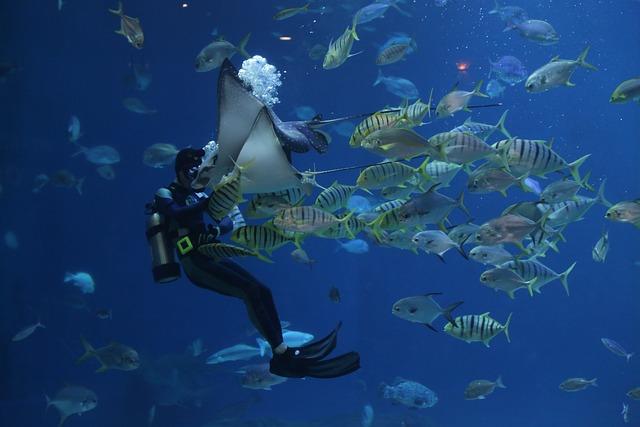 The Ecological Consequences of Marine Phenomena on Terrestrial Environments