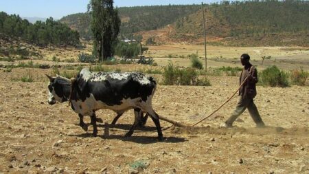 Ethiopia’s Abiy Has the Horn of Africa on Edge – World Politics Review