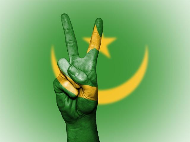 Mauritania has officially become a gas-producing country – The North Africa Post