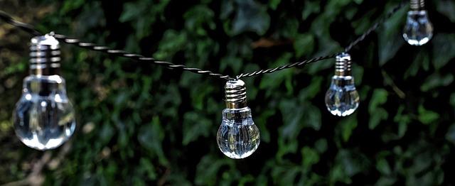 Sustainability and Innovation: Driving Future Opportunities