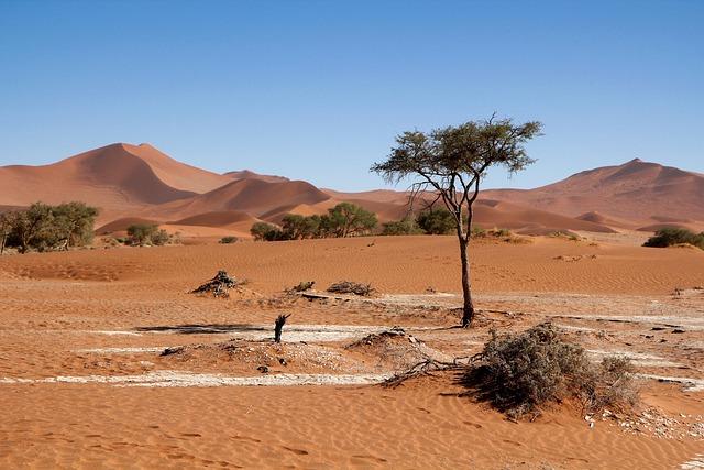 Namibia's Evolving Foreign Policy Landscape
