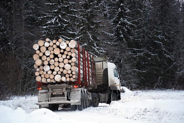 International Cooperation and Funding to Curb Illegal logging Activities