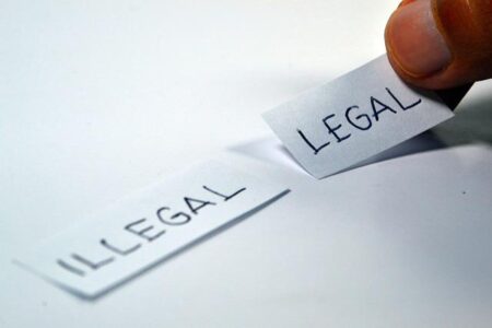 New illegal logging threatens Liberia’s forests amid vague ban – Mongabay.com