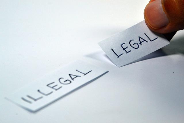 New illegal logging threatens Liberia’s forests amid vague ban – Mongabay.com