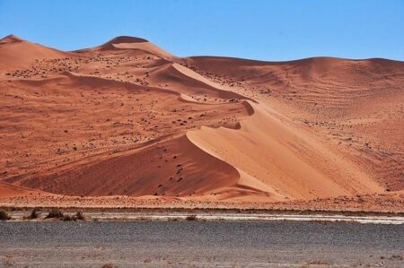 Namibia, Facing Drought, Plans to Kill Elephants for Meat – The New York Times