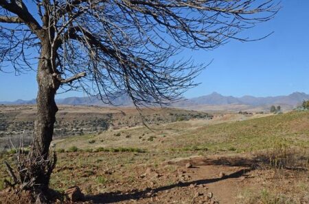 Lesotho – IFAD