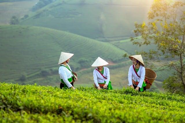 Empowering Women and Youth in Church-Driven Development Projects