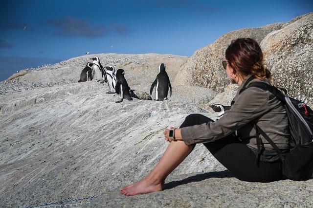 South Africa plans to spend more on health and defense after the US cuts aid – MSN