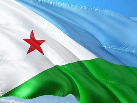 Djibouti, Ethiopia Agenda for Macron’s tour of the Horn revealed – Africa Intelligence