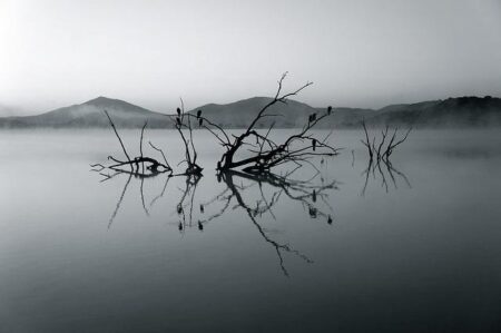 Africa | Mpox Epidemic – Emergency Appeal Operational Strategy (MDRS1003) – ReliefWeb