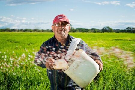 Smallholder farmers from Africa call for improved access to technology to enable regenerative agriculture and foster resilience – Bayer