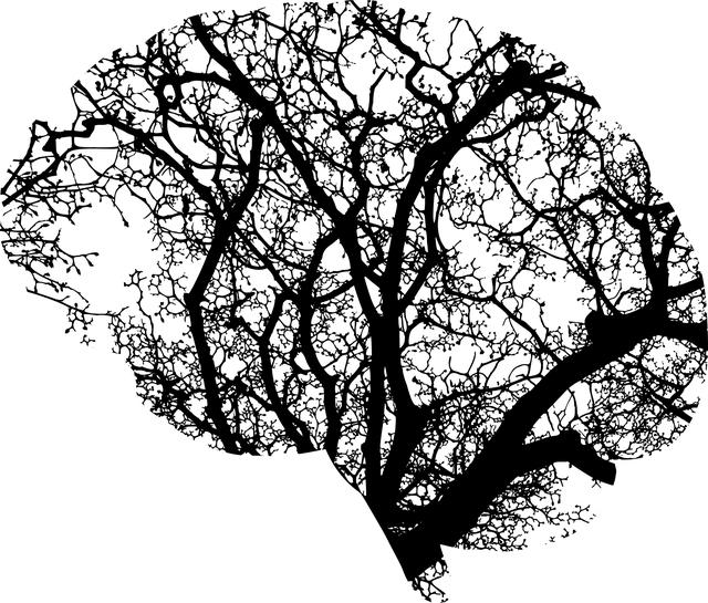 Mental Health and Its Impact on Overall Well-being in Kenyan Society