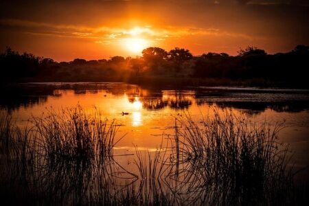 South Africa Pauses Easing Cycle Amid US Tariff Uncertainty – Bloomberg