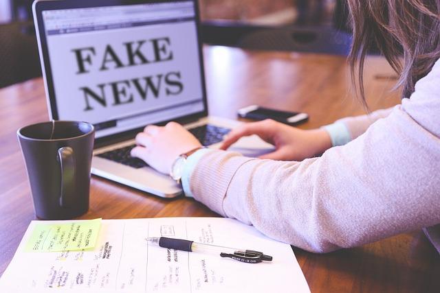 The Role of Misinformation: Dissecting the Facts Behind Claims of Violence and Instability