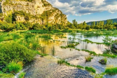 A river ‘died’ overnight in Zambia after an acidic waste spill at a Chinese-owned mine – The Associated Press