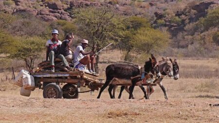 Botswana Hunting Revenues Surge Despite UK Opposition – Africa.com