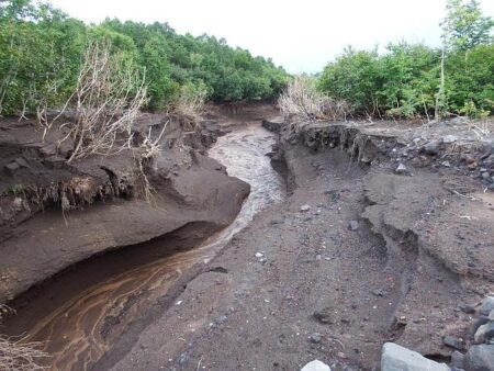 Cyclone Jude batters Malawi, Mozambique; no deaths reported – Voice of America