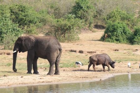 East Africa: ‘Chinese giants are a massive threat’ says Tanzania’s Amsons MD Edha Nahdi – The Africa Report