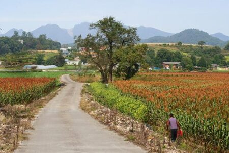 5 best African countries for education – Business Insider Africa