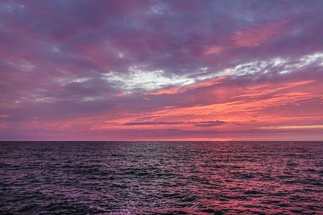 Analysis of the Strategic Significance of the Red Sea in Regional Politics