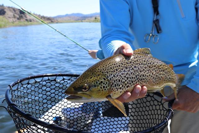 environmental Concerns Surrounding Intensive Trout Farming Practices
