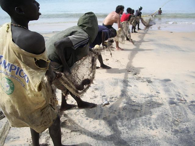 Future Initiatives for Continued Engagement in Senegal