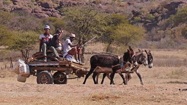Botswana's ‌Innovative Satellite Initiative for Environmental Monitoring