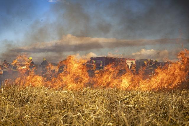 Recommendations for Improved Wildfire Management Strategies