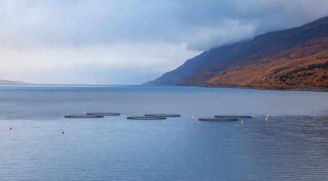 Strategies for Enhancing Fish Farming Productivity Among Smallholders in Zambia