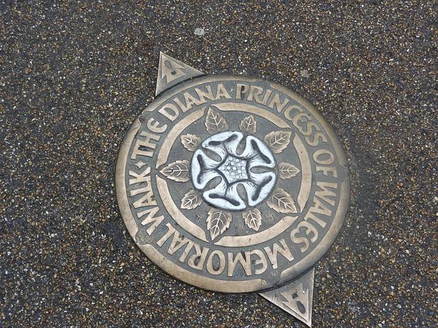 Future Directions for the Diana Memorial Charity